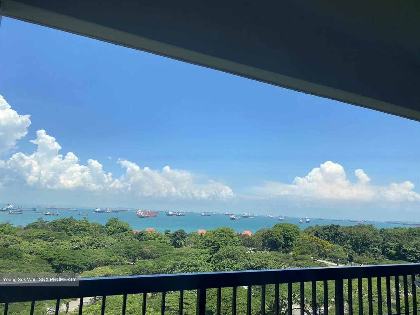 Laguna Park (D15), Apartment #470842561